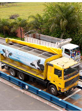 Distribution Provimac Maroc